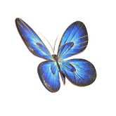 DIY hand-made three-dimensional butterflies,Exquisite hand-made gifts.