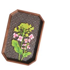 DIY enamel trays, exquisite glass products.